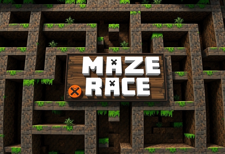 Maze Race Mania / Dash to Victory!