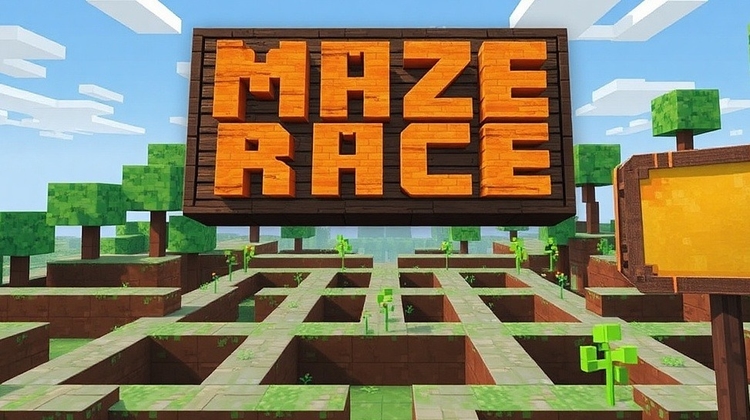 Maze Race Mania / Dash to Victory!
